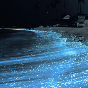 叶山さゆり和黑人解禁
